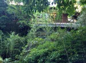 緑の中のシェアオフィス