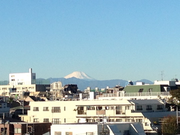 住む街のお掃除