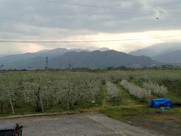 農の暮らし3→地方での農