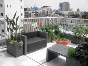 屋上ガーデニング1！