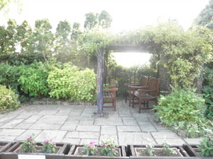 都市の緑と屋上に思う